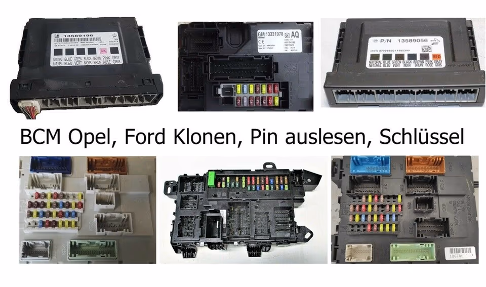 Galeriebild 6